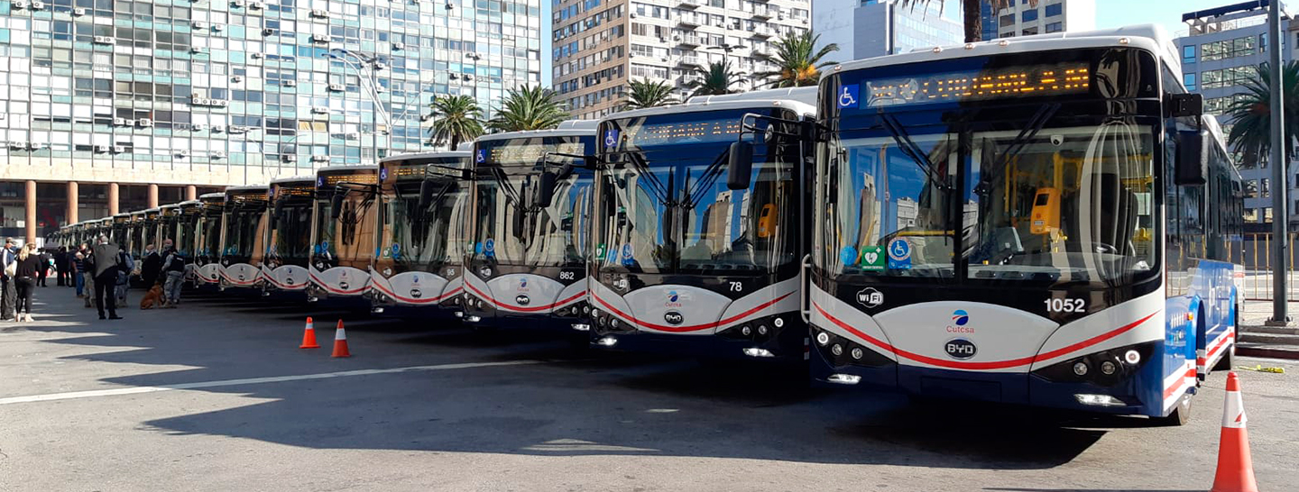 buses eléctricos Enel X