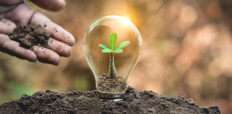 Certificado de carbono