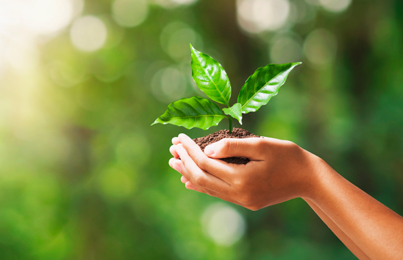 generación distribuida Enel X