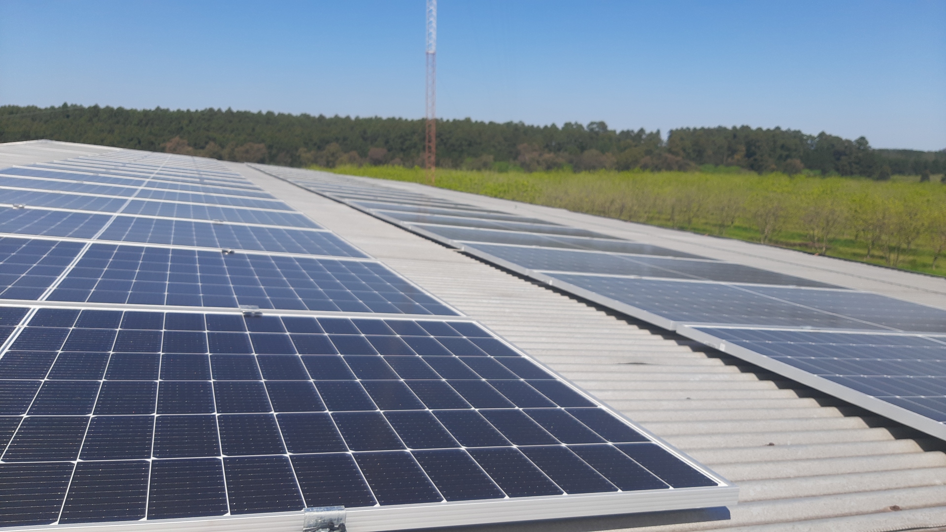 Paneles fotovoltaicos en Burmac