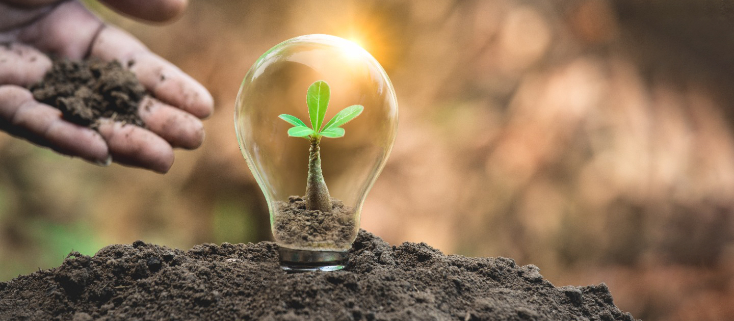 consultoría energética