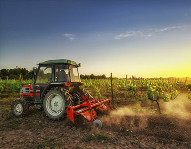 South Australia agriculture