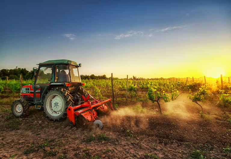 Agriculture farm