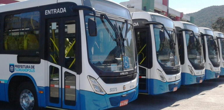Vários ônibus