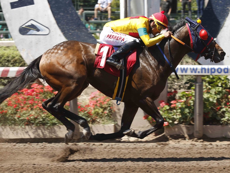 Hipodromo Dia