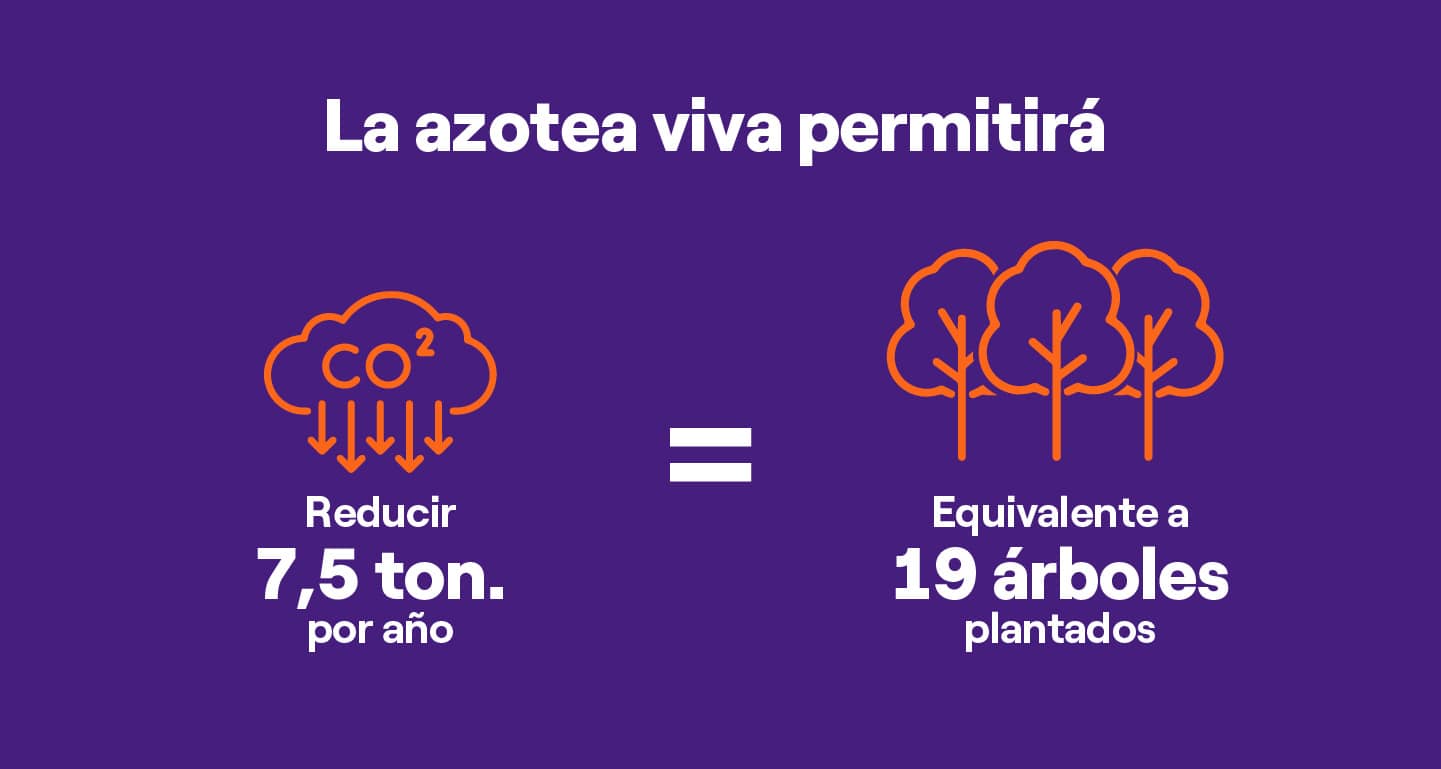 Azotea Hotel Mandarin