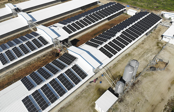 Agroindustria Chile paneles solares - Enel X