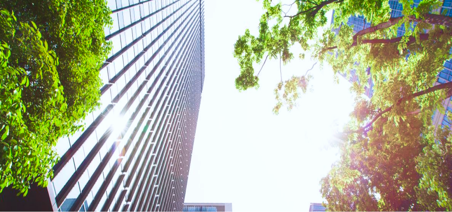 la integridad se entiende como un valor fundamental para desempeñar actividades comerciales - Enel X