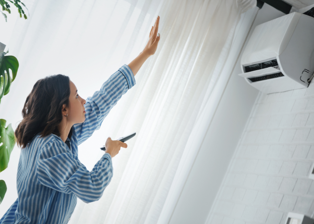 Programa de Recambio