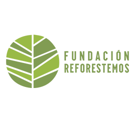 Fundacion Reforestemos