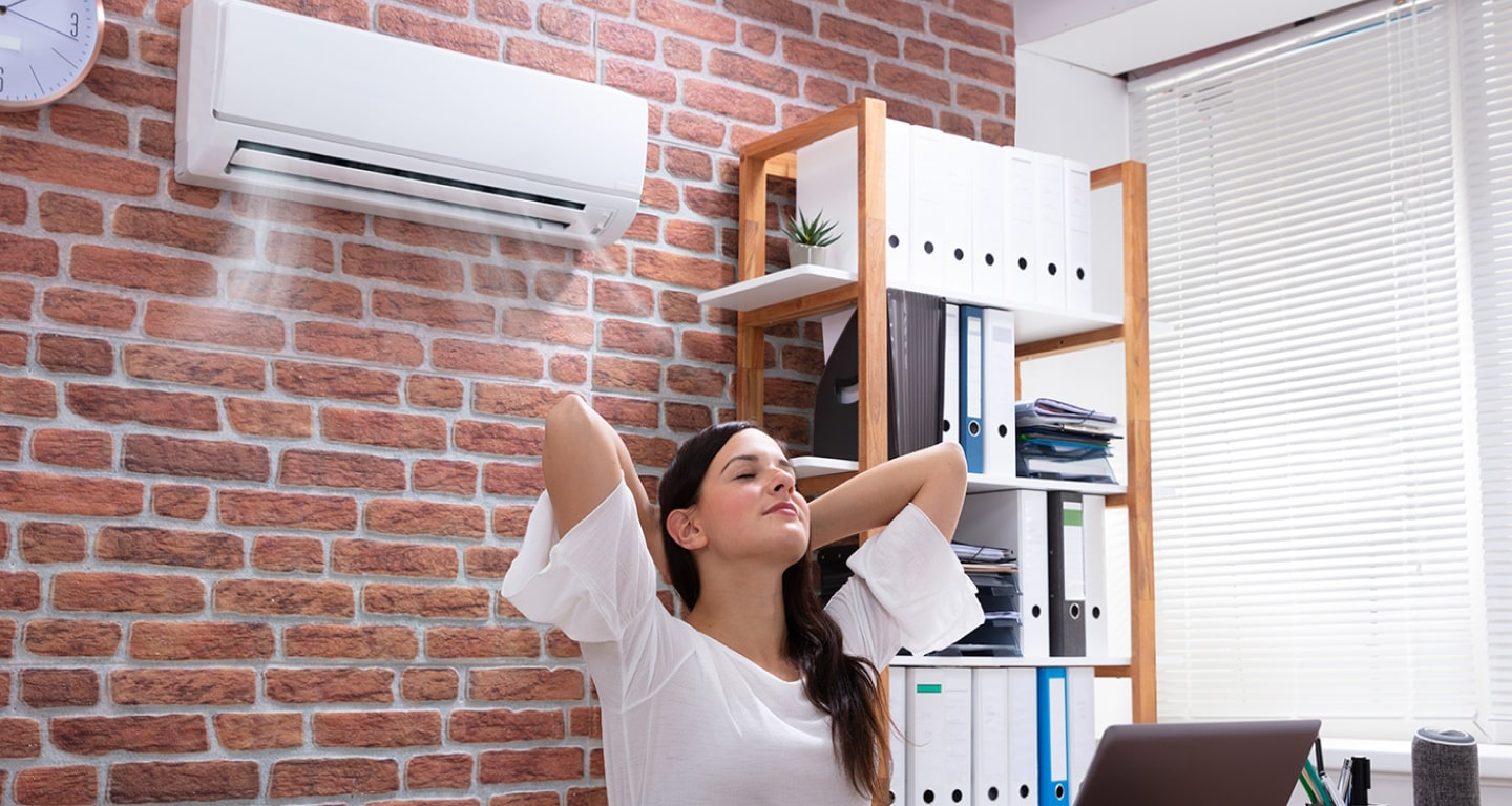 Programa de Recambio