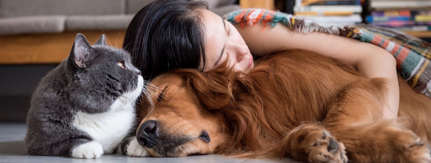 mujer con sus mascotas, un amor a cuatro patas, seguro para mascotas, proteccion para mascotas enel x