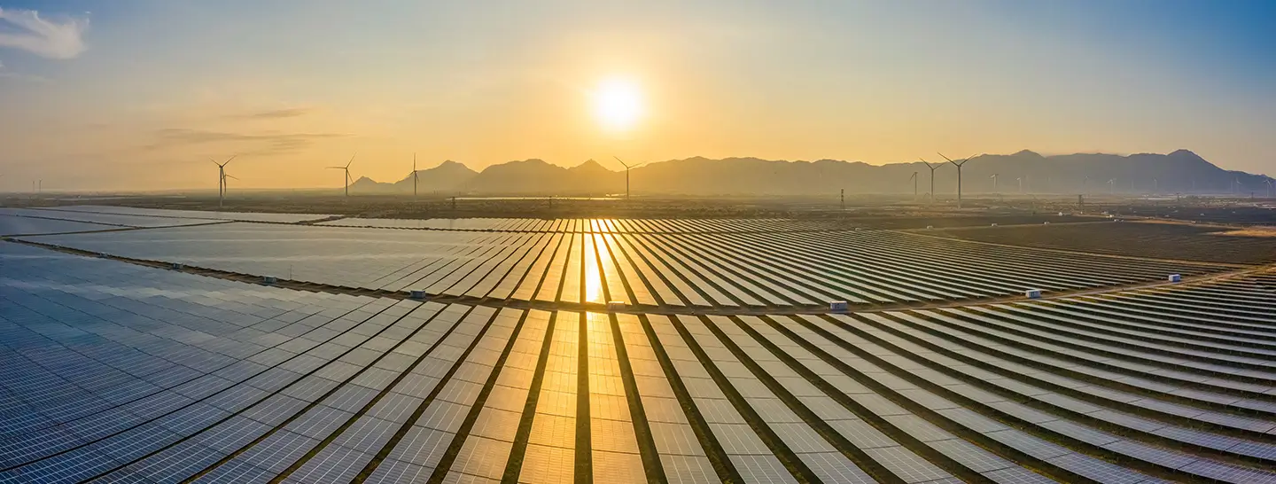 Día del sol, paneles solares para aprovechar esta fuente de energía renovable.