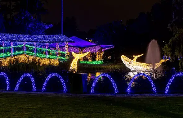 Imagen, Iluminación navideña en Bogotá, Inspirado en el Pacífico. Luces  en forma de medusas azules.