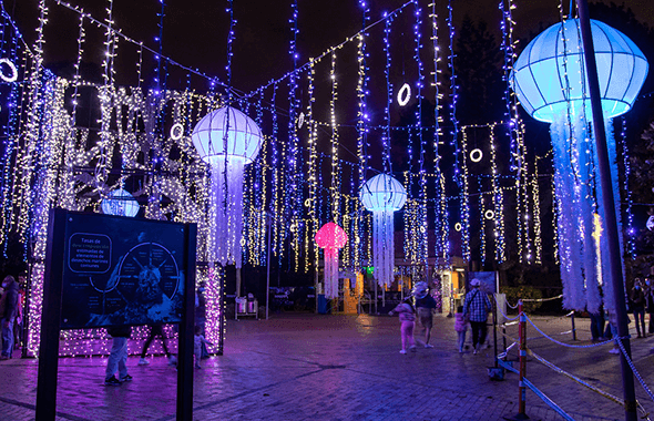 Iluminación navideña durante el evento de Pacificanto