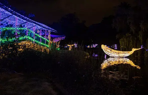 Banner, Iluminación navideña 2021, un tipo  de iluminación en forma de ballena.