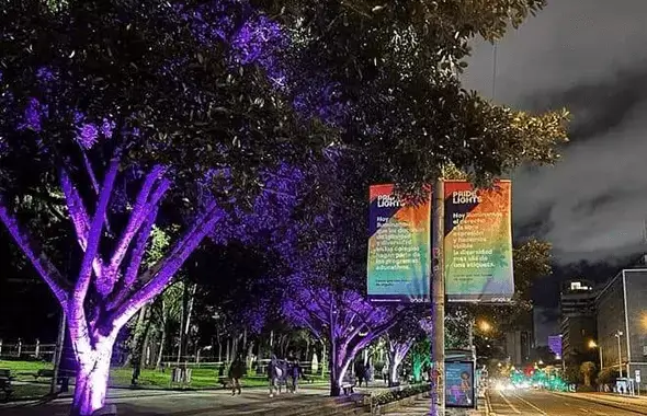 Imagen, Iluminación de árboles de morado para el evento LGTBIQ+