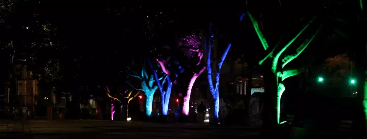 Banner, Iluminación árboles en el evento  LGTBIQ+ en una noche bogotana.