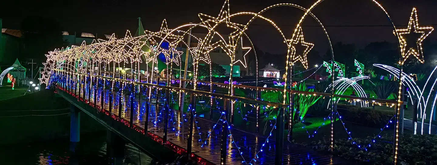 Bosque de Luces, un evento que forma parte de la Ruta de la Navidad 2022.