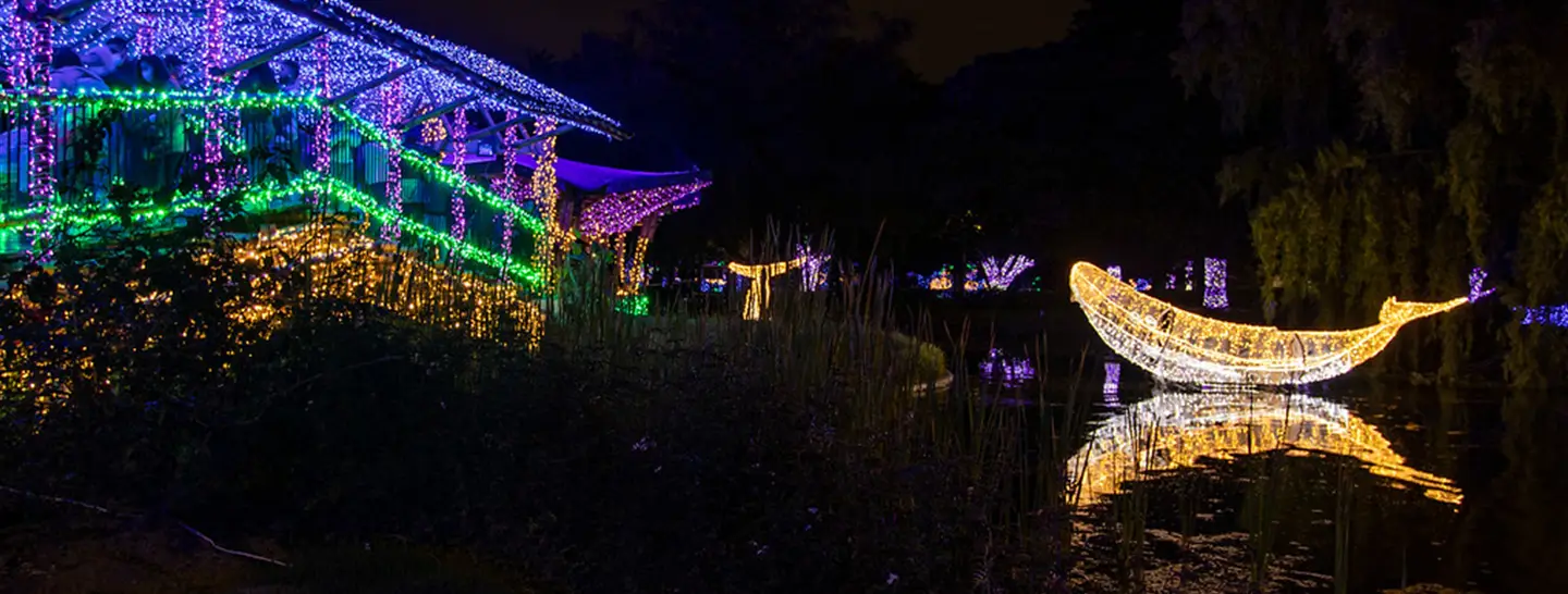 proyecto de iluminación