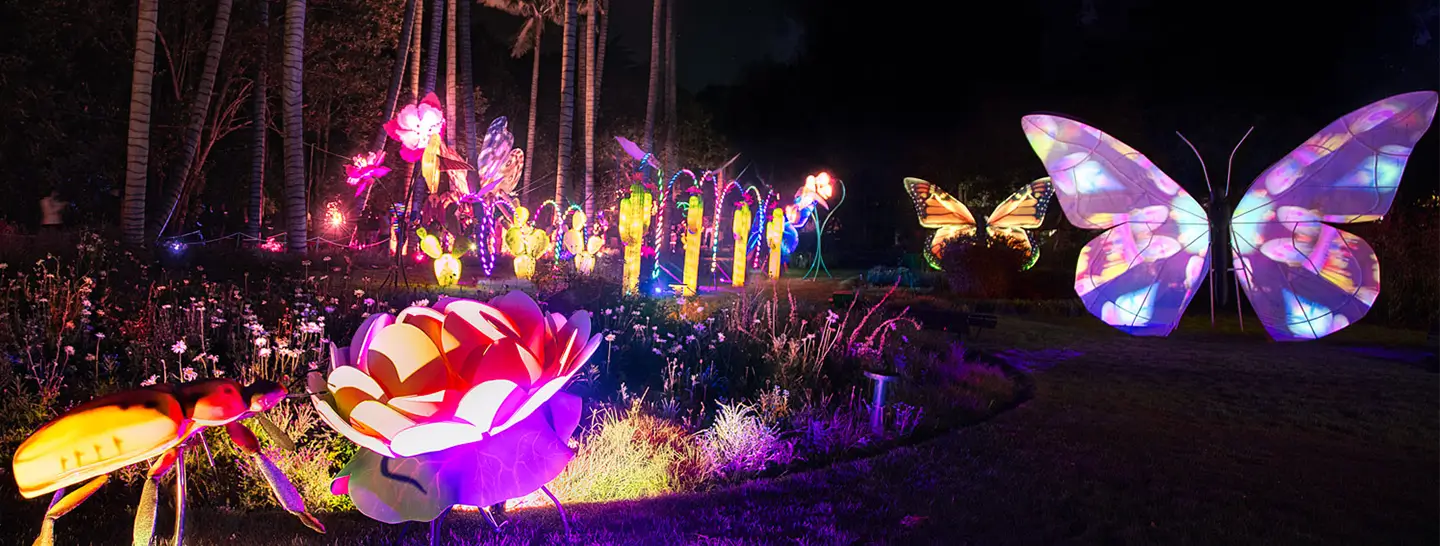 Ruta de la navidad 2023