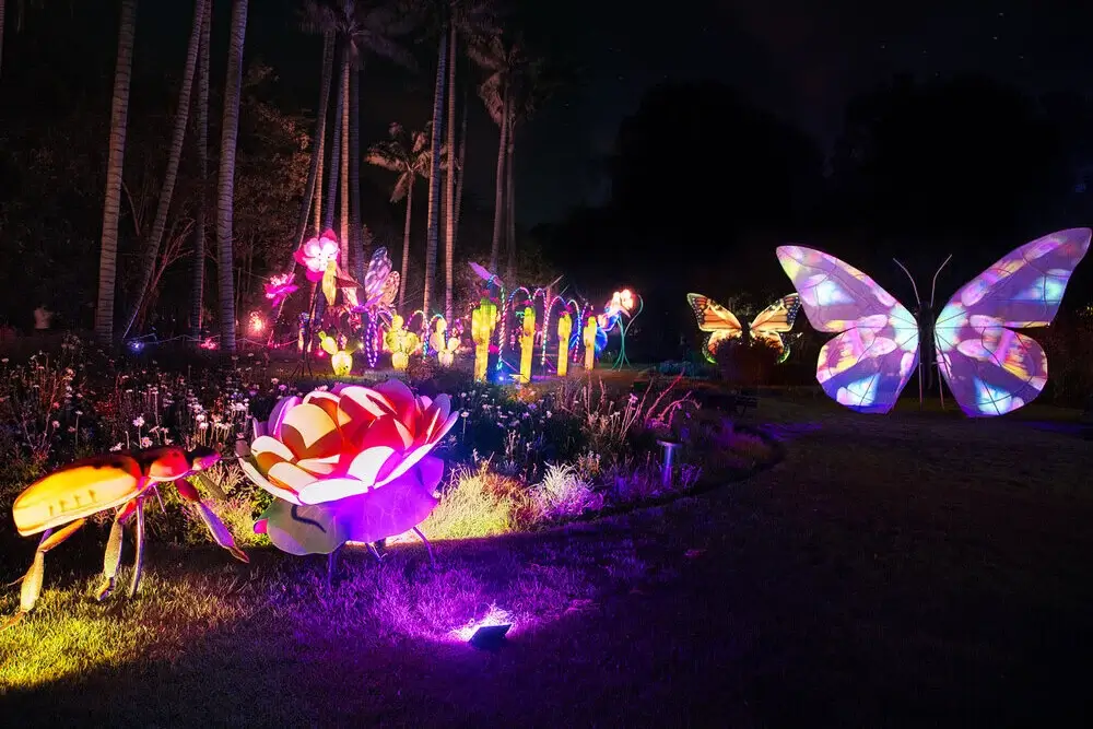 Iluminación de temporada en Chía con el proyecto Bosques de luces