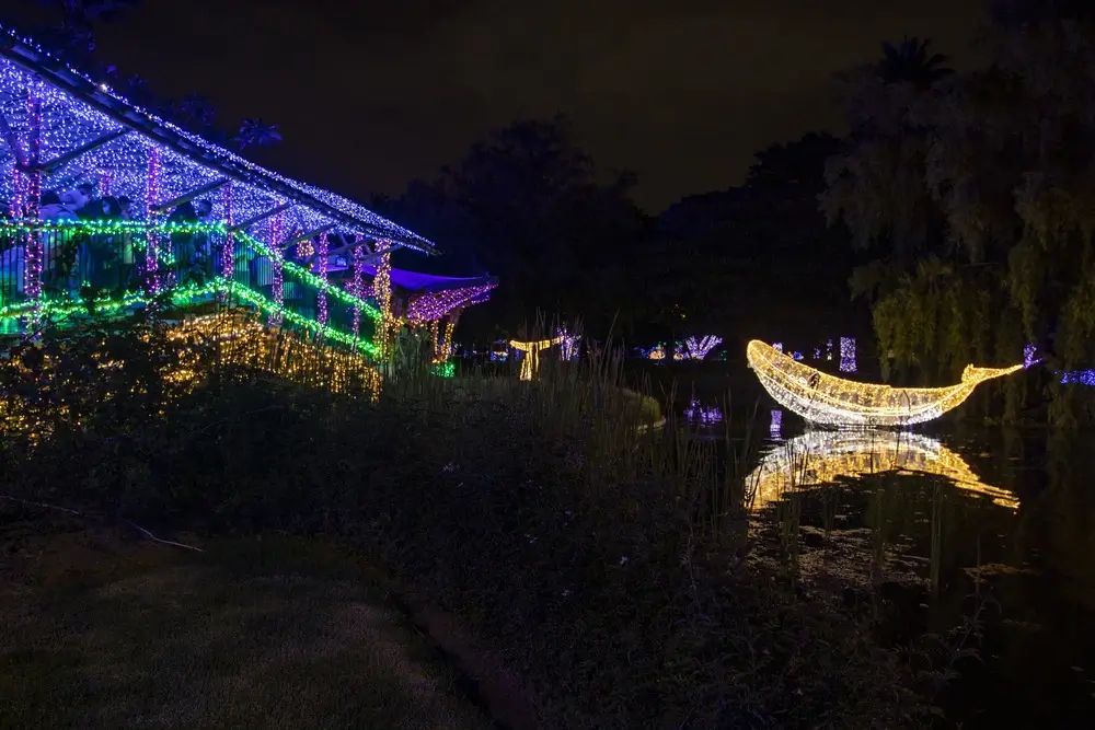 Pacificanto, proyectos de iluminación de temporada de Enel X en Bogotá.
