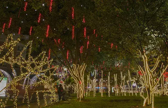 Luces de navidad Enel X