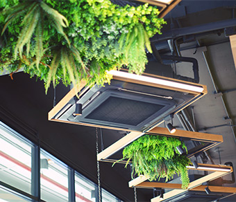 Illuminazione con piante su un soffitto