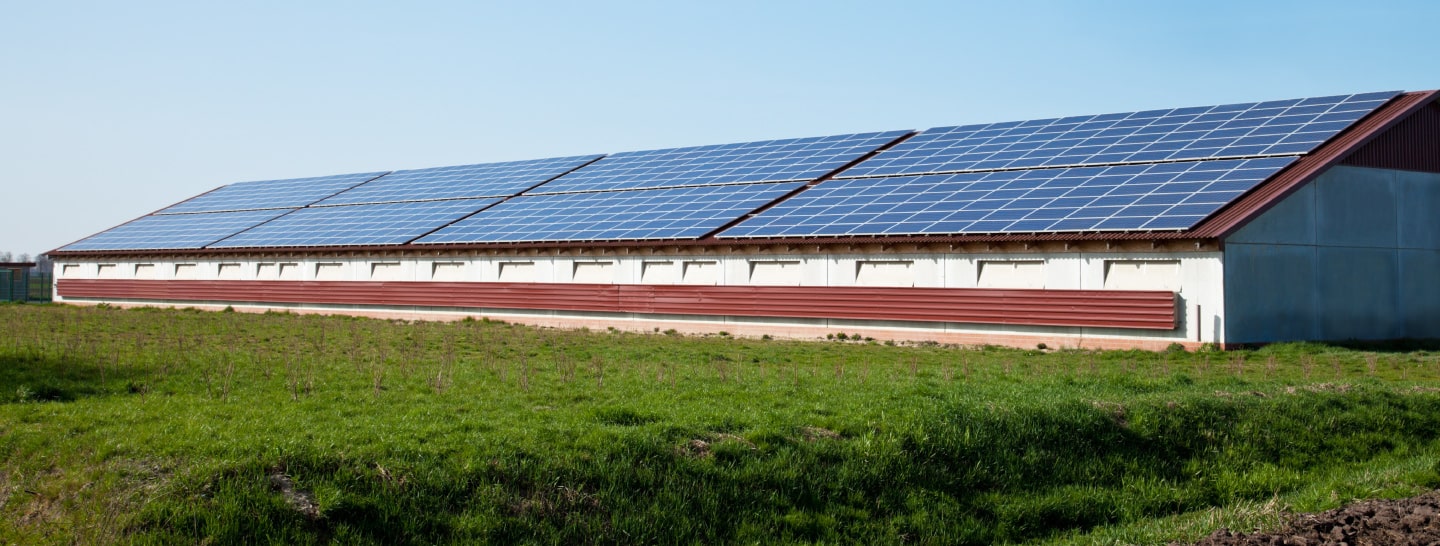 Pannelli solari sopra a una serra