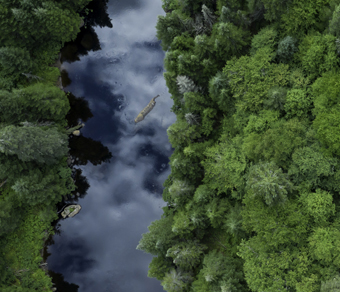 Vista dall'alto di un fiume in mezzo ad un bosco