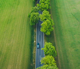 Strada nel verde