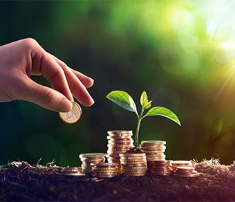 Piccola pianta con monete alla base