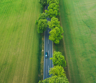 Strada nel verde vista dall'alto