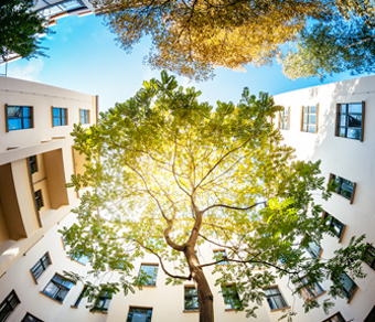 Foto di edifici con alberi