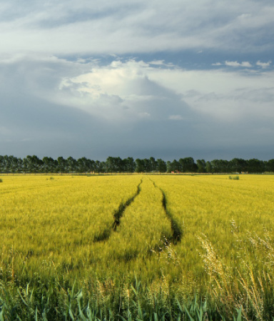 Genagricola, il circolo virtuoso della terra