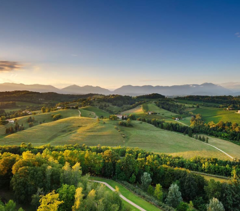 Investire in Sostenibilità e Decarbonizzazione: il ruolo di Enel X