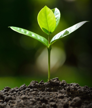 Enel X e Valmet: un legame che coniuga produttività e qualità
