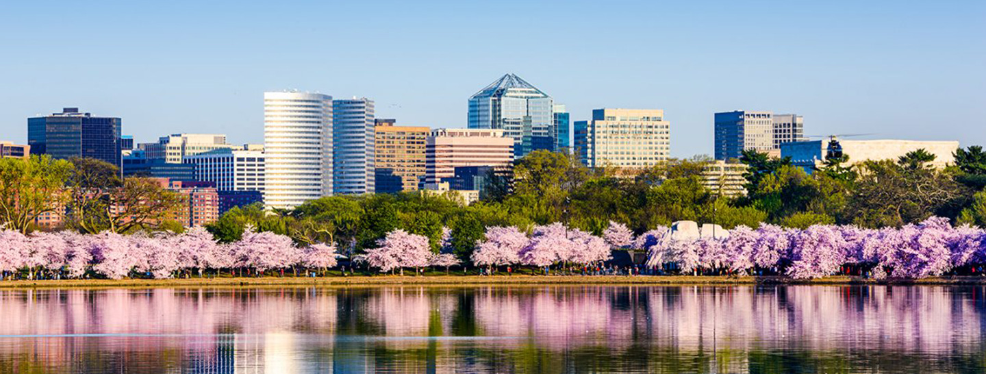 City skyline