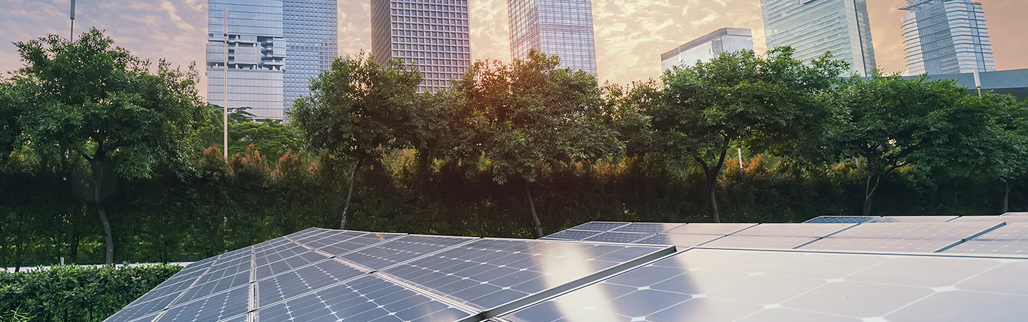 solar panels and trees in city at sunset