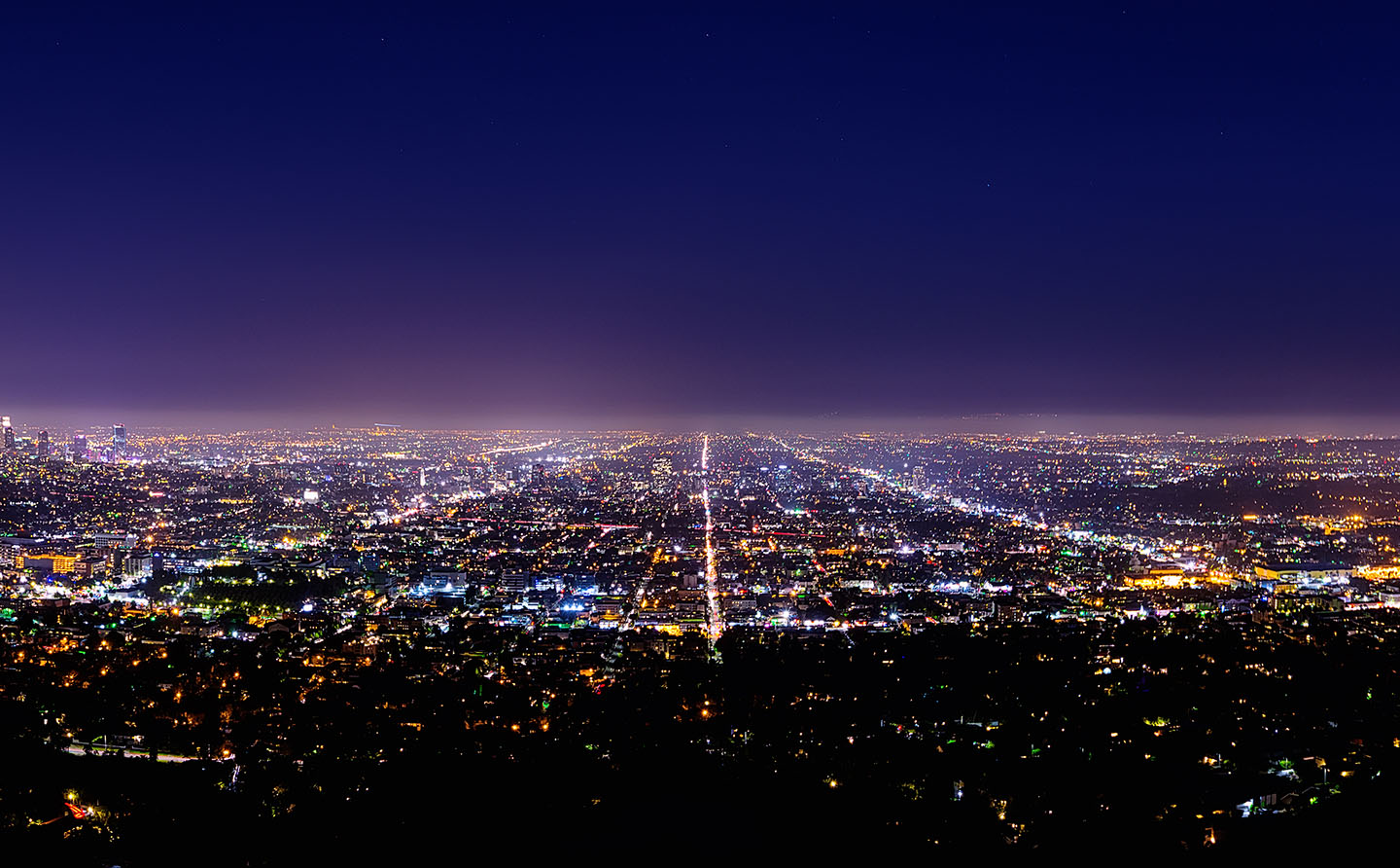aerial photo of city at night