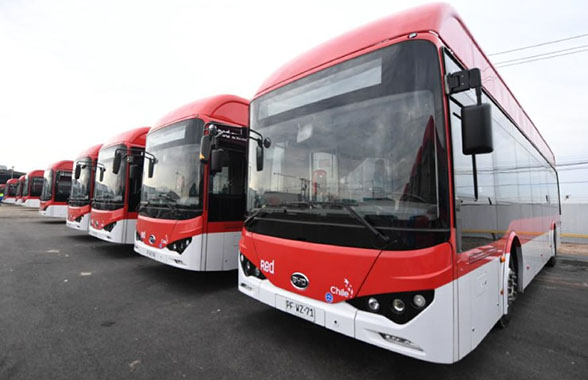 row of electric buses