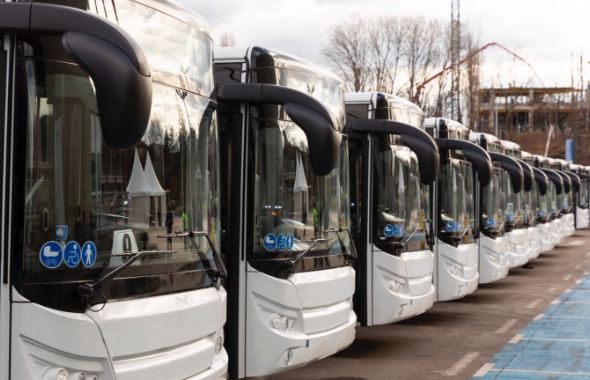 row of electric buses