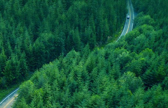 aerial view of car driving on road through forest