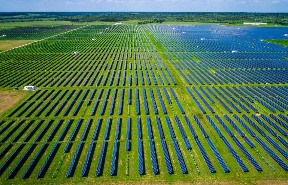large solar farm
