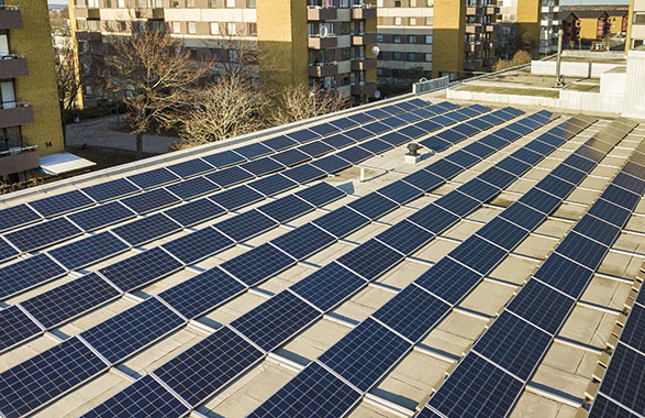 Solar panel array