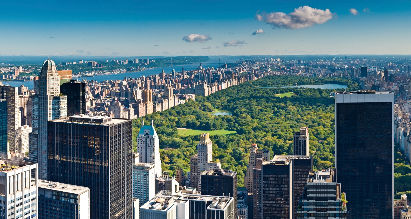 Aerial view of Central Park in New York