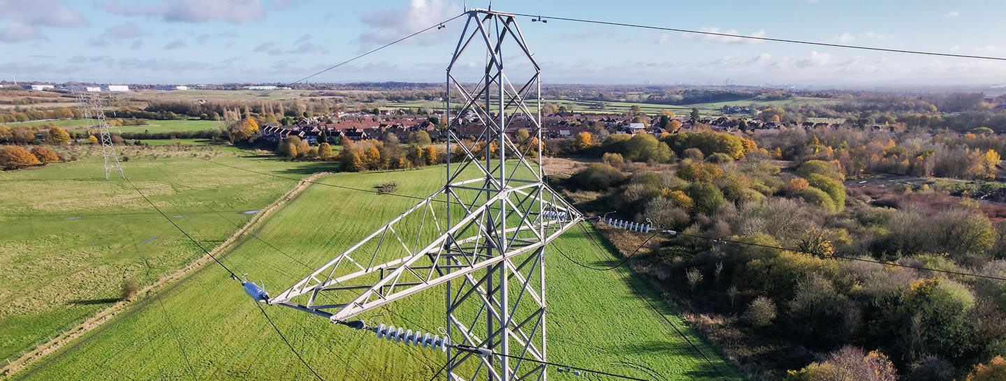 Electricity pylon among trees