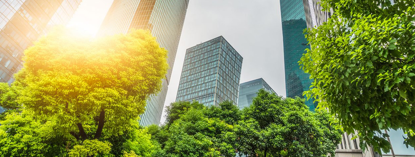 City buildings and trees