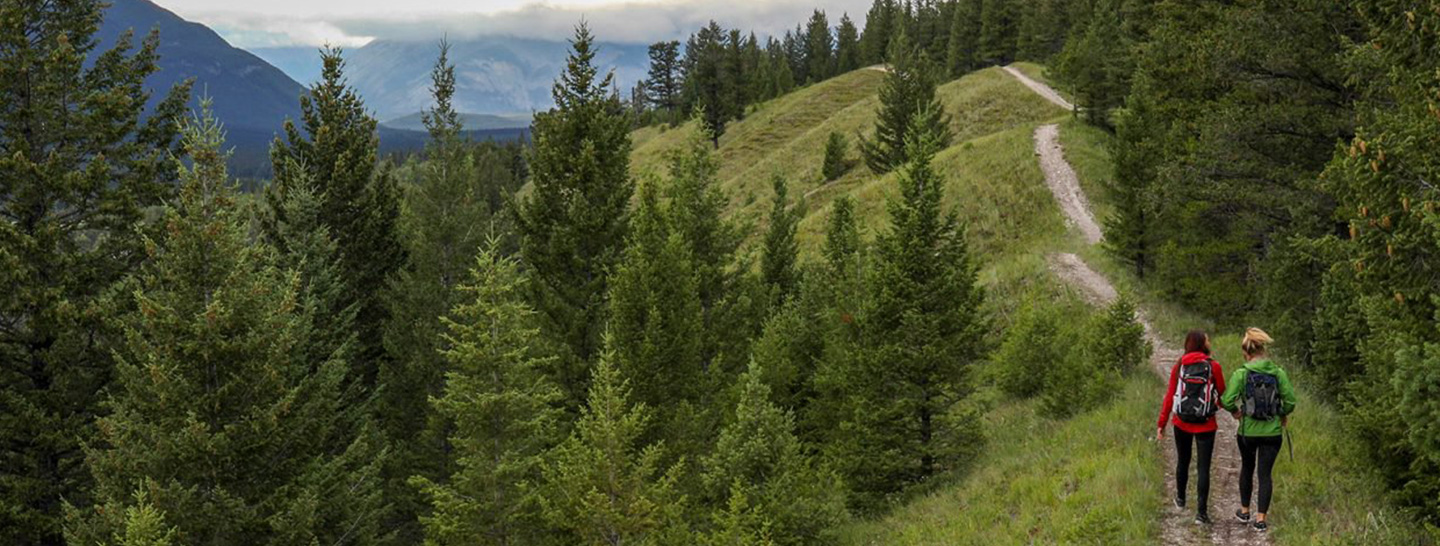 Women hiking on a path